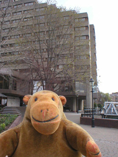 Mr Monkey looking at the Tower hotel