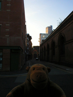 Mr Monkey looking down the street beside MCDC