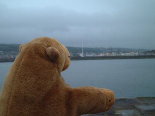 Mr Monkey looking at Whitehaven from the sea wall