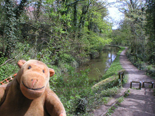 Mr Monkey at the bottom of the path down to the canal