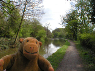Mr Monkey looking along the canal towpath