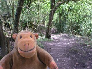 Mr Monkey on a path going down beside the aqueduct