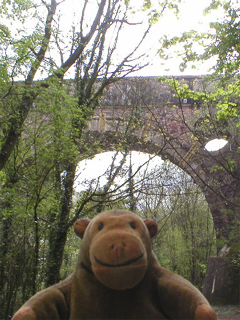 Mr Monkey looking at the aqueduct from below