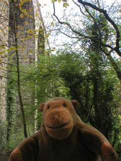 Mr Monkey looking up at Marple viaduct