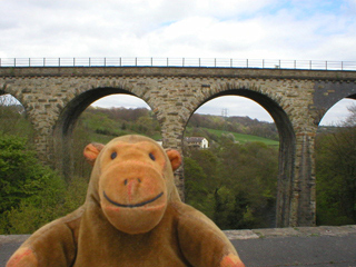 Mr Monkey looking at Marple viaduct from the aqueduct