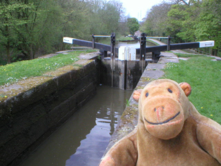 Mr Monkey looking at a lock full of water