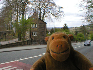Mr Monkey looking at Brabyns Lodge