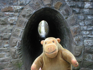 Mr Monkey at the entrance to the horse tunnel