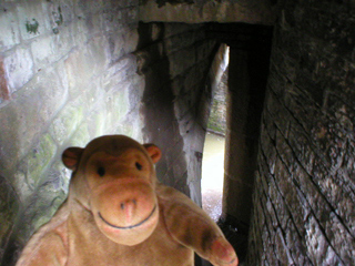 Mr Monkey on the steps down to the canal