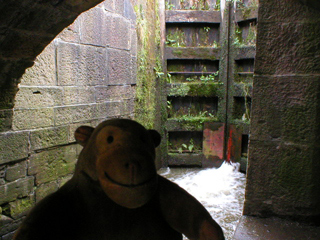 Mr Monkey looking at the gates to lock 13