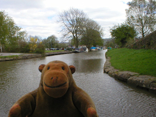 Mr Monkey looking at upper section of the Peak Forest Canal