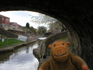Mr Monkey looking along the Macclesfield Canal