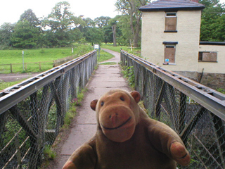 Mr Monkey on Brabyns Park bridge