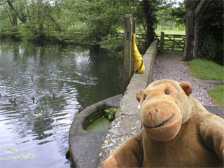 Mr Monkey looking at the sluice from the lake