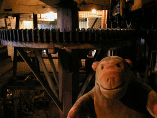 Mr Monkey looking at the lower great spur wheel