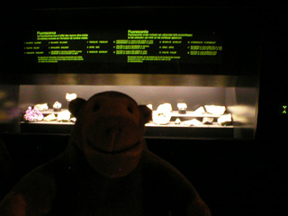Mr Monkey looking at fluorescent rocks under white light