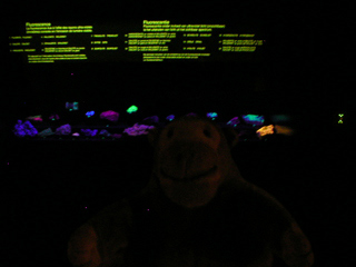 Mr Monkey looking at fluorescent rocks under ultra-violet light