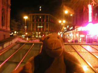 Mr Monkey looking across the roof of Bruxella 1238