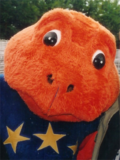 The furry orange face of the Mini-Europe turtle