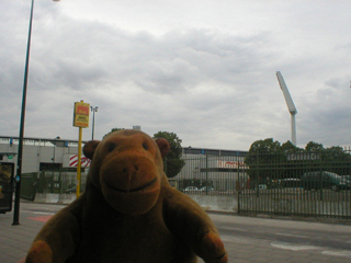 Mr Monkey looking at the Heysel stadium