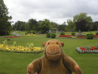 Mr Monkey looking at the Valley Gardens flower beds