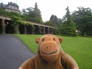 Mr Monkey walking up to the Colonnades