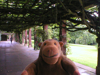 Mr Monkey walking through the Colonnades