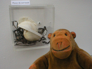 Mr Monkey looking at a small cased cell by Karin Mulhert
