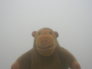 Mr Monkey in the mist of the Blind Light installation