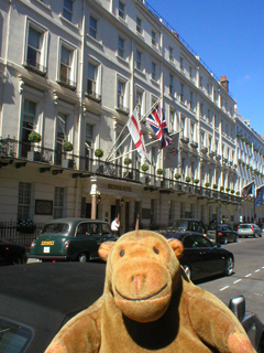 Mr Monkey looking at Brown's Hotel