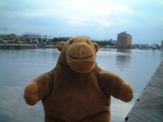 Mr Monkey in front of Ontario Basin