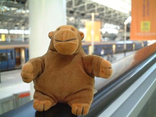 Mr Monkey on the handrail of a travelator