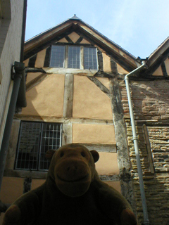 Mr Monkey looking at a canal tunnel entrance