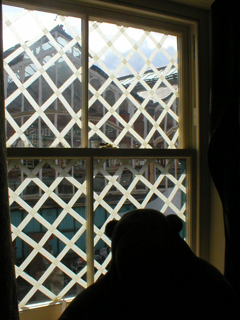 Mr Monkey looking at the window of the wartime bedroom