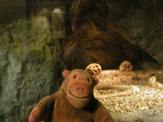 Mr Monkey looking at the recreated Dowel Cave burial