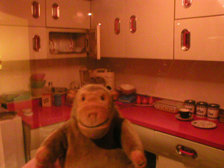 Mr Monkey looking at the sixties kitchen