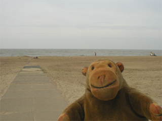 Mr Monkey walking out onto the beach at Ostende