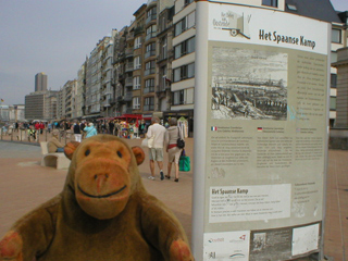 Mr Monkey looking at the Spanish Camp board