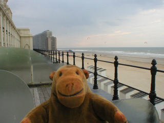 Mr Monkey watching parasurfers from his terrace