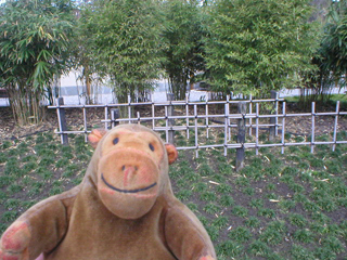 Mr Monkey looking at the yotsumegaki fence