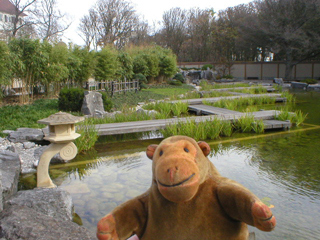 Mr Monkey looking back at the walkway across the pond