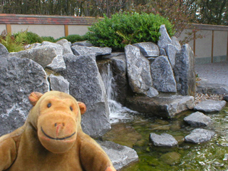 Mr Monkey looking at the waterfall from the side