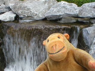 Mr Monkey looking at water flowing over the waterfall