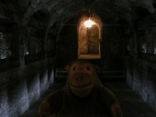 Mr Monkey looking at the inside of a caponier