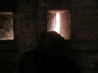 Mr Monkey looking at a gunslit inside the caponier