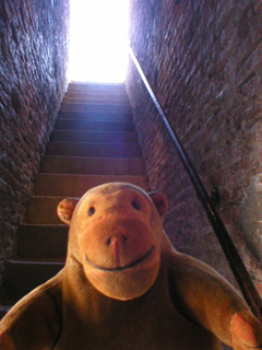 Mr Monkey climbing the staircase to the roof