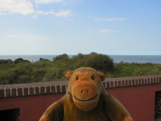 Mr Monkey looking towards the sea from the fort