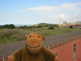 Mr Monkey looking along the coast from the fort