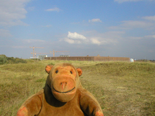 Mr Monkey looking at Fort Napoleon from the dunes