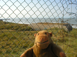 Mr Monkey looking through a fence at some old bunkers